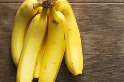 Bananas and Weight Management