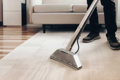 Professional Carpet Cleaning